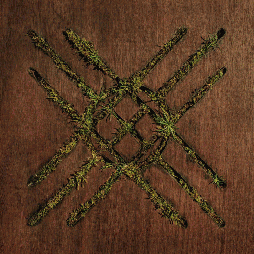 Moon Tooth : Violent Crief : Acoustic Selections